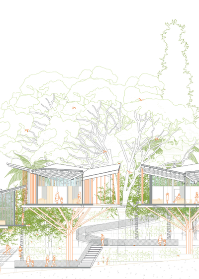 Com(unitat) amb els arbres